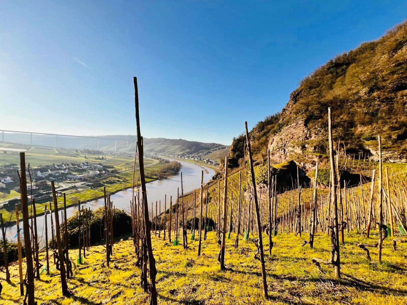 Gut Foersterlay - Exklusive Boutique Apartments Im Historischen Winzerhaus Direkt An Der Mosel Lösnich Exterior foto